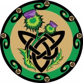 9723089-thistle-flowers-with-celtic-symbols