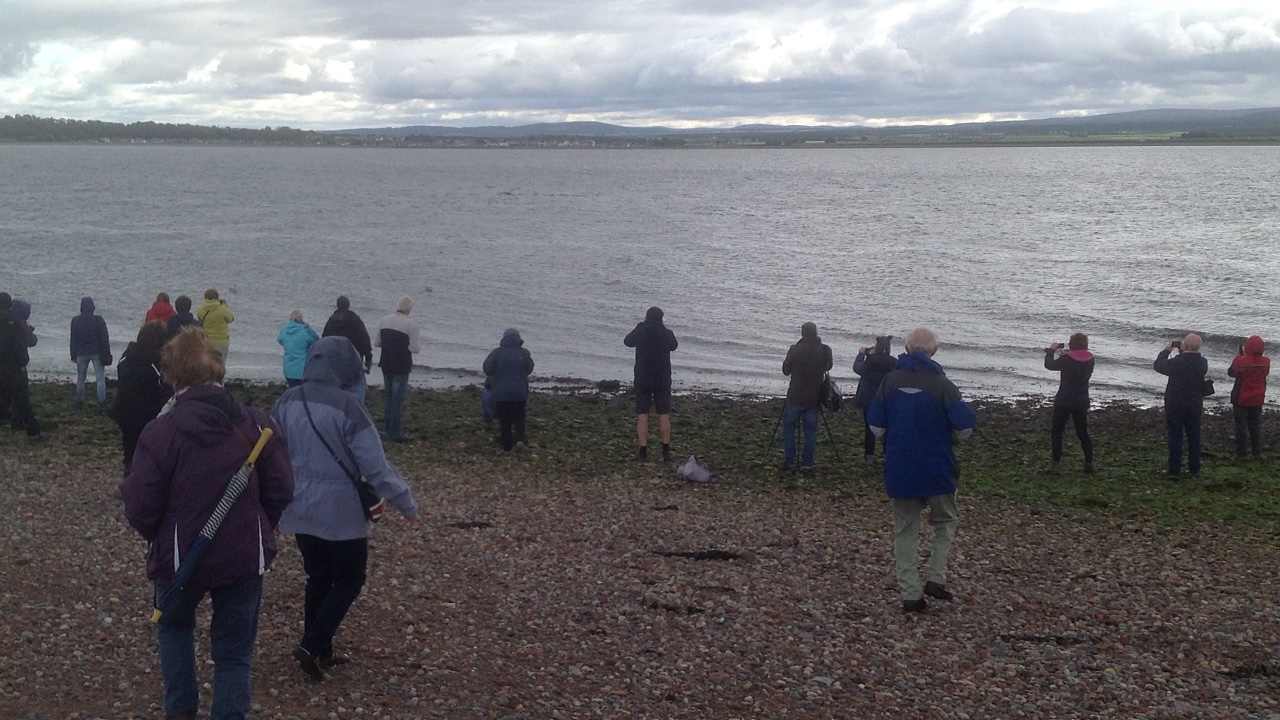 01e98cda738eca96b9cac11f7c4209aeef96086365